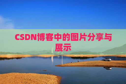 CSDN博客中的图片分享与展示